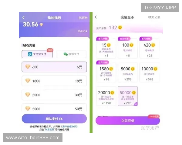 BBIN电游官网支付方式多样化支持多平台快速充值与提现服务