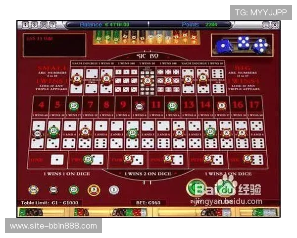 全面解析血战骰宝的基本规则与玩法策略帮助新手快速入门